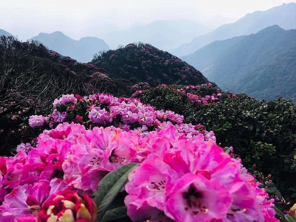 Travel North West Vietnam Trekking 9 Days